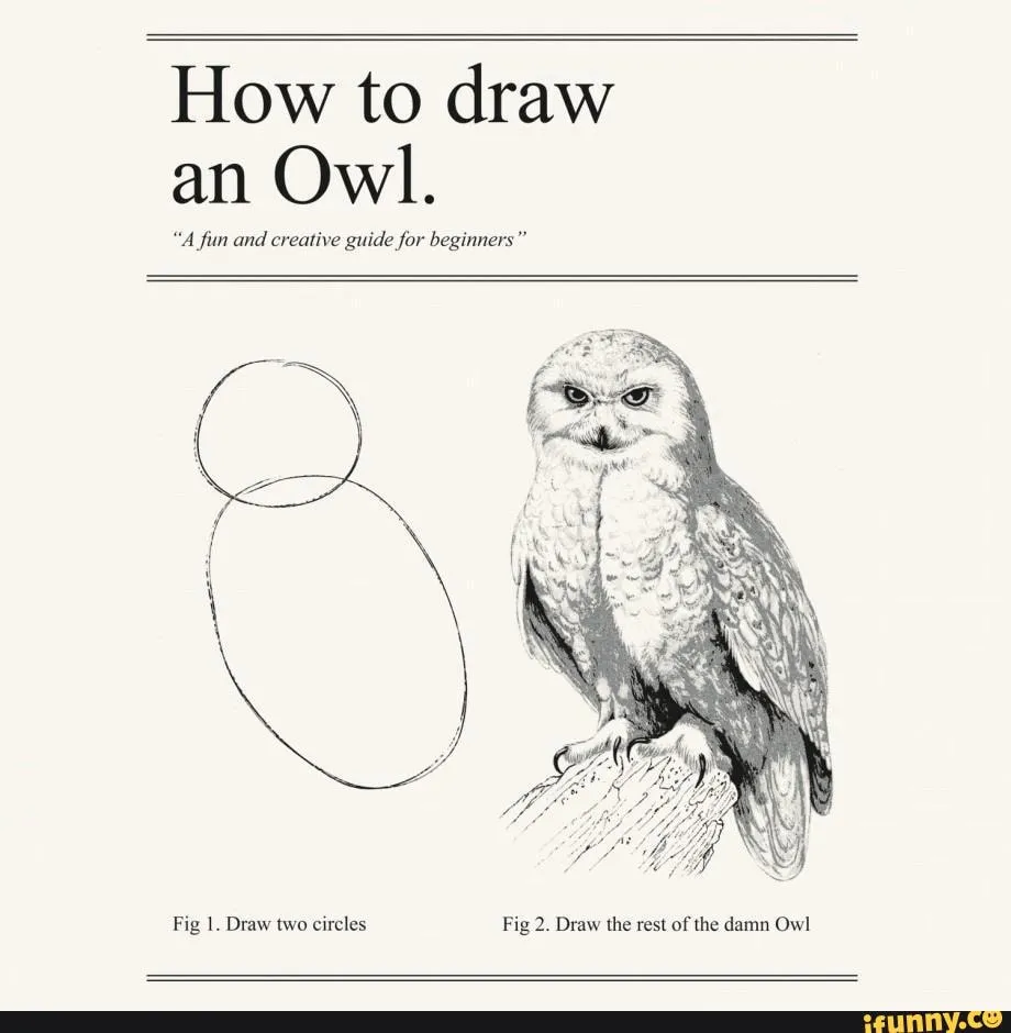 Draw the rest of the owl